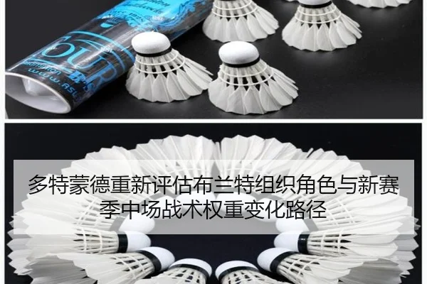 多特蒙德重新评估布兰特组织角色与新赛季中场战术权重变化路径